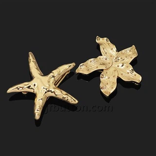 Boucle en métal étoilé